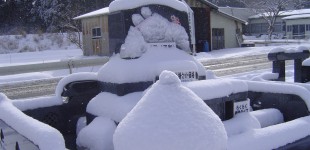 豪雪です…